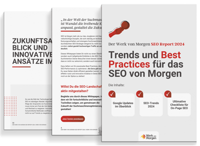 SEO Report E-Book Mockup