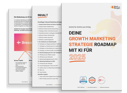 E-Book-Cover-Stratgie-2025-3-Seiten