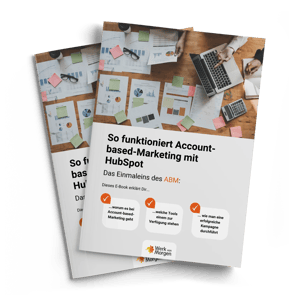 Mockup-Cover E-Book-ABM-Strategie