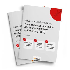 Mockup-Cover E-Book-SEO-Einstieg