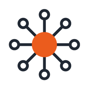 Netzwerk