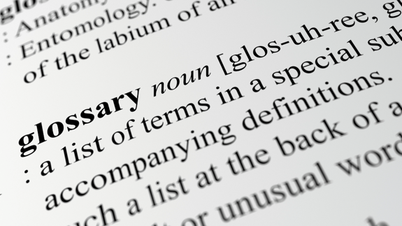 Glossar