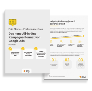 Paid-Media-Performance-Max-Kampagne