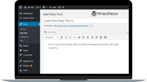 Wordpress CMS