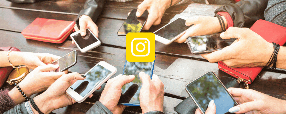 WVM - Instagram Header