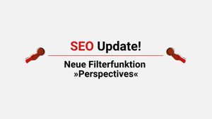 Blogbeitrag Googles neue Filterfunktion Perspectives