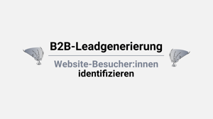 Blogbeitrag Website Besucher identifizieren und B2B-Leads generieren